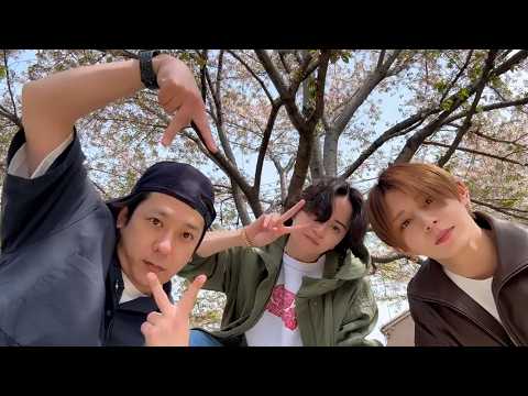 緊急生配信【お花見】㊗️495万人超え thumbnail