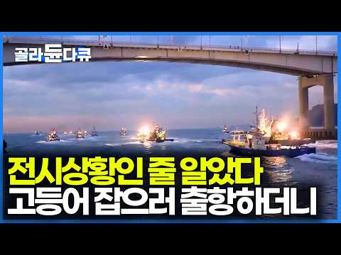 출항하는 모습이 예술이다. 70명 선원과 13척의 배가 고등어 잡으러 가는 과정｜한국산 고등어의 위엄｜한국기행｜#골라듄다큐 thumbnail