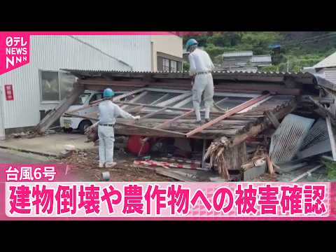 【台風6号】高知で建物倒壊など被害  倉庫の屋根落ちる  出荷前のナス“全て廃棄”も thumbnail