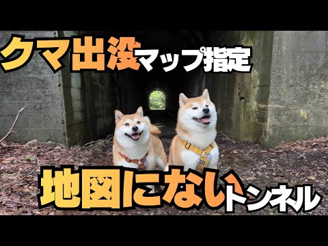 「熊出没マップ」に指定されている、地図にない秘境を柴犬と目指す thumbnail