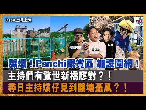 嬲爆！日本小猴Panchi觀賞區加設圍網！加寬距離！主持們有驚世新橋應對？！｜尋日主持斌仔見到觀塘聶風？！社區奇人異事見耐咗反而會有情感連結？｜D100上綱上線｜黃冠斌、科林、禮賢同學 thumbnail
