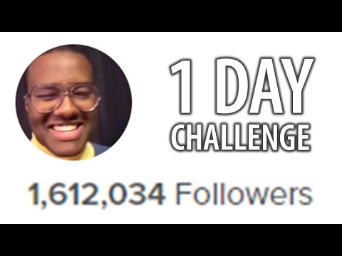 TikTok 1M FOLLOWERS in 1 DAY! (CHALLENGE) thumbnail