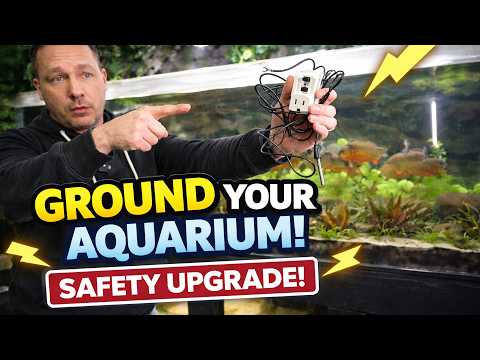 How to GROUND your aquarium and add a GFCI plug in MINUTES!!! The king of DIY FISH TANK SAFETY thumbnail