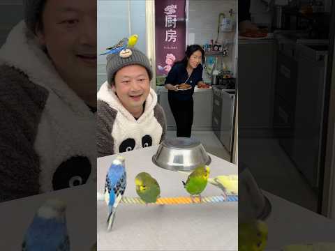 平平淡淡一餐饭😘🥰🍖🦐美食美味 thumbnail