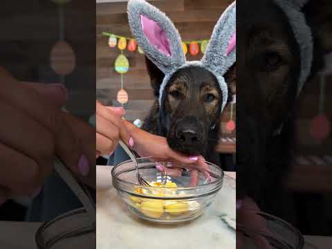 Devilled Dog Eggs thumbnail