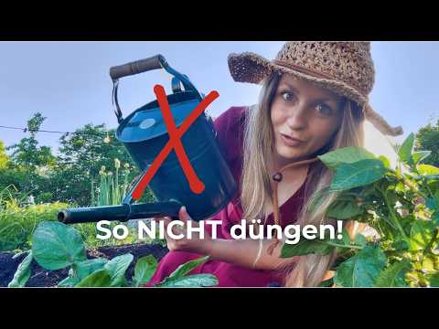 Die 14 wichtigsten Gartenaufgaben im Juni 🍓 thumbnail