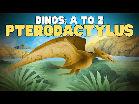 Dinos A to Z: Pterodactylus | Learn about this iconic pterodactyl thumbnail