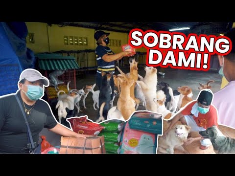 BUMISITA SA RESCUED DOGS AND CATS (PARA SA PET LOVERS) 12 Days of Christmas S4EP6 thumbnail