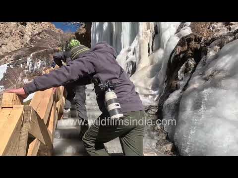 Visiting the spectacular landscapes of Niti Valley and the sacred Timmersain Mahadev Cave thumbnail