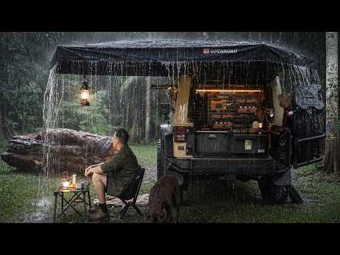 RELAXING Solo Camping in RAIN with my Dog ☔ Gloomy weather, Cozy Shelter, ASMR thumbnail