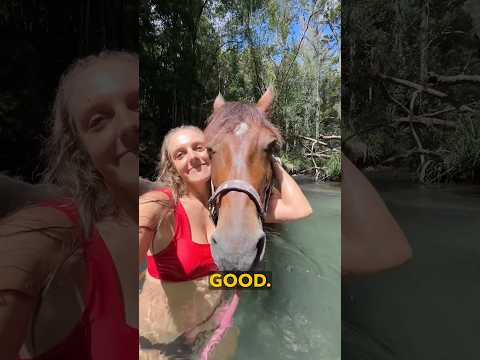 Horse Swimming - Ozzy Man Quickies thumbnail