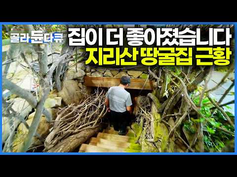 반평생 카센터 운영해서 모은 돈으로 땅꿀집을 지은 남자｜방송 자주 나왔던 토굴집 최신 근황｜한국기행 2026｜#골라듄다큐 thumbnail