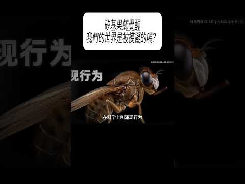 矽基果蠅覺醒：我們的世界是被模擬的嗎？#科普 #漲知識 thumbnail