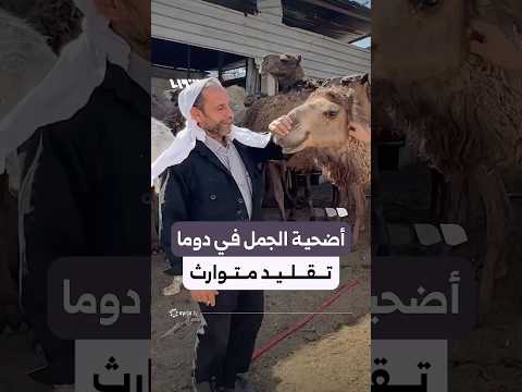 أضحية الجمل في دوما تقليد متوارث متواصل خلال عيد الأضحى thumbnail