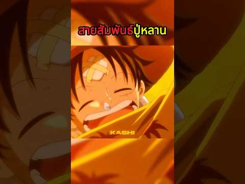 ปู่และหลาน #วันพีช #onepiece thumbnail