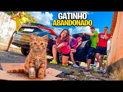 ENCONTRAMOS UM FILHOTE DE GATO ABANDONADO *Adotamos ele ? thumbnail