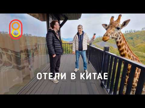 СУПЕР-отели в Китае: жирафы, роботы и спорткар за 1700 руб.! thumbnail