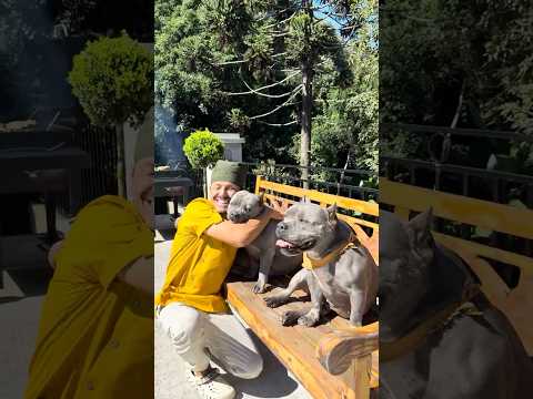 Carne Assada com Limão Siciliano e Salsinha 🐾 thumbnail