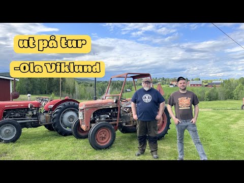 Flera nyanser av Grålle… thumbnail