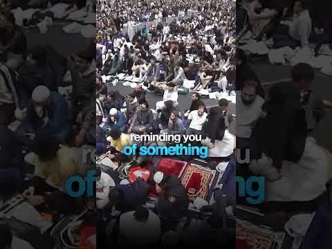 Allah Will Note Judge You #sin #human #motivation #life #change #good #heart #paradise #muftimenk thumbnail