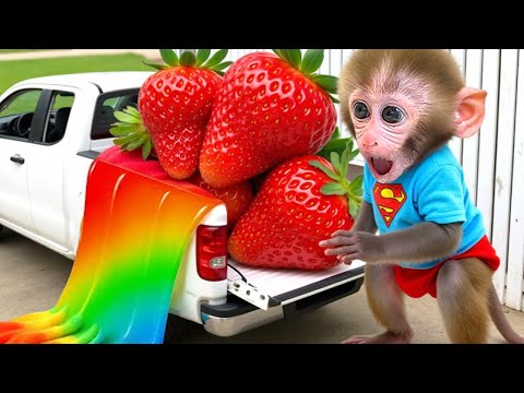 Monkey Baby Bon Bon with the Puppy Encounter strange stickers and Unhealthy Habits thumbnail