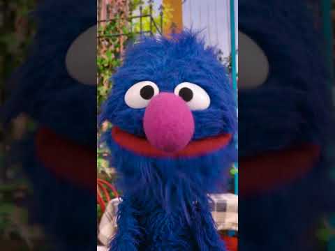 Laugh with Grover! 😆 #sesamestreet thumbnail