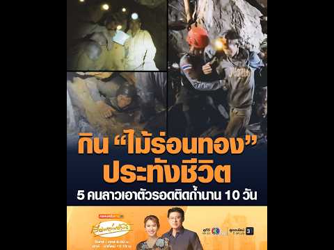 กิน “ไม้ร่อนทอง” ประทังชีวิต 5 คนลาวเอาตัวรอดติดถ้ำนาน 10 วัน thumbnail