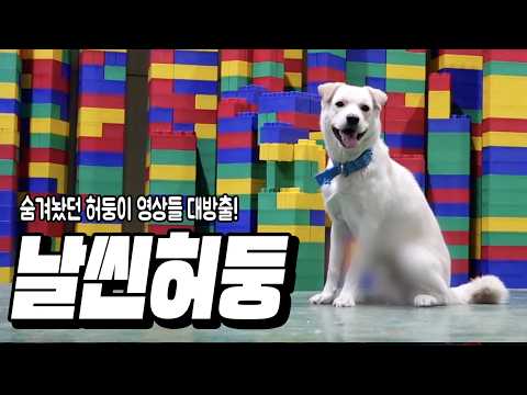숨겨놨던 허둥이 영상 대공개! (여기서 허둥이 날씬함) thumbnail