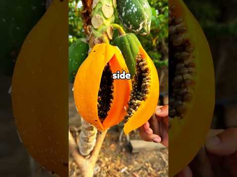 what happened when my daughter picked my next husband thumbnail