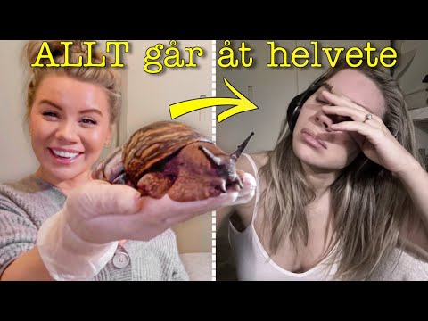 JAG ORKAR INTE MER... | vlogg thumbnail