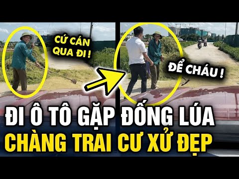 Thấy cụ ông HỐI HẢ CÀO LÚA khi thấy xe qua, chàng trai có hành động TUYỆT VỜI | Tin 3 Phút thumbnail