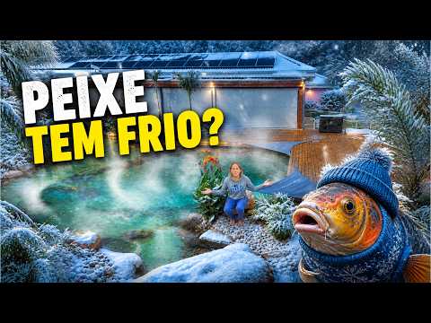 NOSSOS PEIXES VÃO CONSEGUIR VIVER NO FRIO CONGELANTE DO LAGO? thumbnail