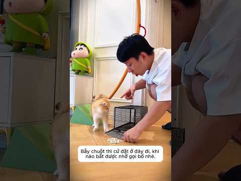 Bắt Chuột Lại Ra Chó Con Ăn Vụng 🐶🤣 thumbnail
