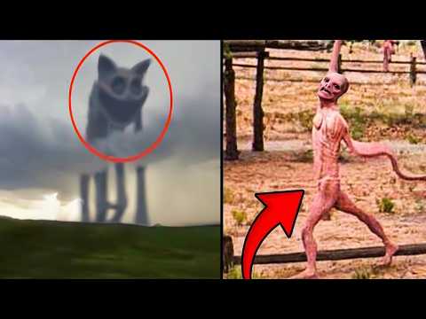 44 Cosas Aterradoras Encontradas En Google Maps thumbnail