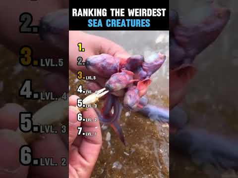 RANKING THE WEIRDEST SEA CREATURES thumbnail