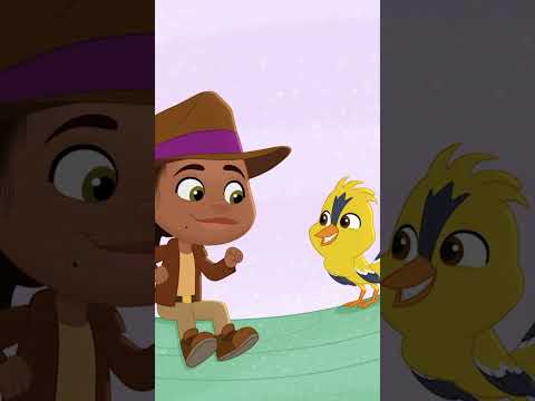 Sing along to the "Everybody Belongs" song from Hey AJ! ☀️🎵 | Disney Jr. thumbnail