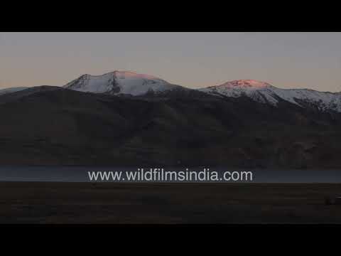 Golden hour over the mountains and lakes of Ladakh thumbnail