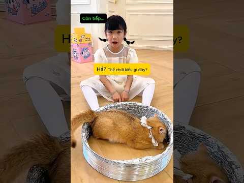 Mèo Trứng Muối Lấy Tiền Của Bố 🙀💸 thumbnail