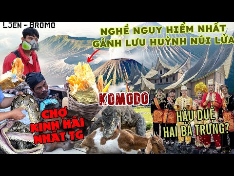 NHỮNG ĐIỀU LÝ THÚ Ở INDONESIA | CHỢ THỊT TRĂN | RỒNG KOMODO | TỘC VIỆT CỔ | NÚI LỬA LJEN & BROMO thumbnail