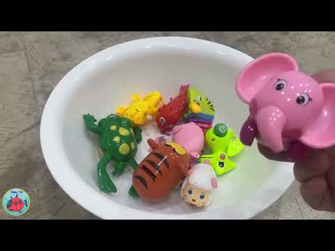 Let's take an animal name guessing quiz together! l 동물 이름 맞추기 퀴즈를 함께 해요! thumbnail