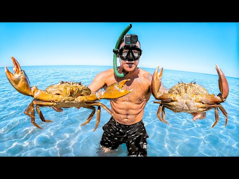 Island Survival Only Using My Bare Hands To Catch Food thumbnail