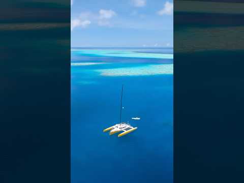 A Year Without Internet 😳 Visiting Rangers on One of Earth’s Most Remote Reefs… thumbnail