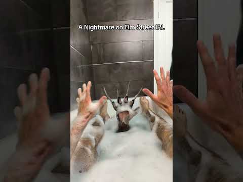 POV: trapped in a nightmare thumbnail