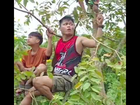 Bisan walay tag-iya, Masuko gihapon?? thumbnail