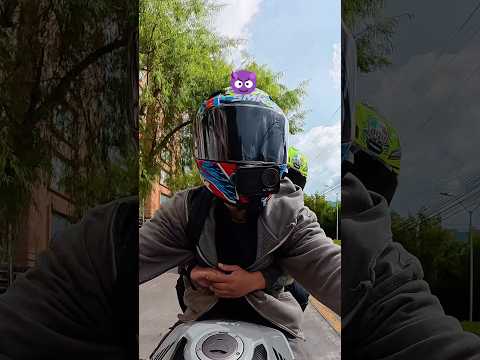 Purgando a GALLETA | parte 2 #viral #humor #bikers #motos #diversion thumbnail