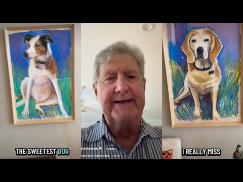 John Kennedy shows lighter side in viral dog painting video thumbnail