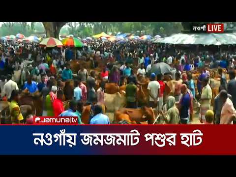 তীব্র গরম উপেক্ষা করে নওগাঁয় পশুর হাটে উপচে পড়া ভিড় | Naogaon | Korbani Hat | Jamuna TV thumbnail