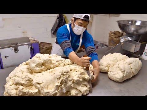보고도 안 믿깁니다! 넋 놓고 보게 되는 전국 만두 장인들의 경이로운 손기술 TOP 4 | TOP 4 Korean Handmade Dumpling Making Masters thumbnail