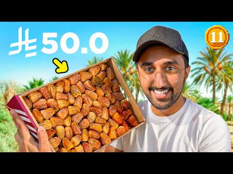 من 0.01$ الى كأس العالم أمريكا ! اليوم #11 thumbnail