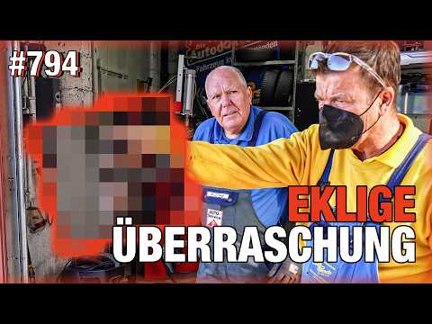 Nichts für schwache Nerven! ?? thumbnail